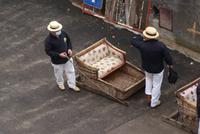 Korbschlittenfahrer.