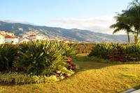 Silvestemorgen Madeira