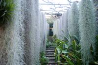 Orchideengarten Quinta Boa Vista