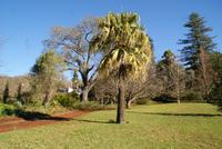 Palheiro Garden (14)