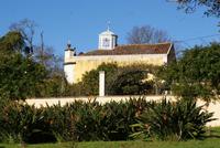 Palheiro Garden (15)