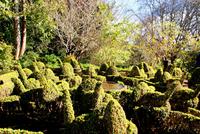 Palheiro Garden (17)