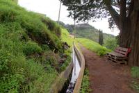 Levadawanderung am Neujahrstag (2)