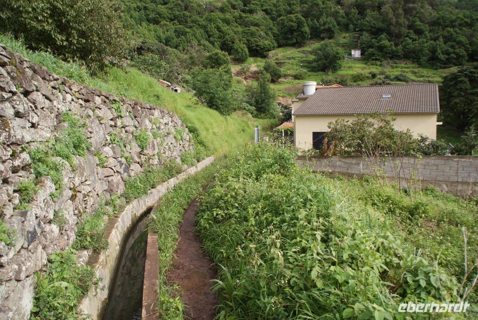 Levadawanderung am Neujahrstag (3)