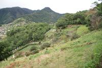 Levadawanderung am Neujahrstag (5)