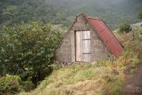 Levadawanderung am Neujahrstag (6)