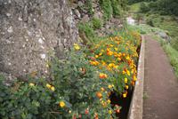 Levadawanderung Nähe Machico (2)