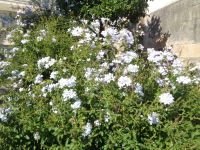 Universität Coimbra