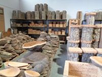 Alentejo, Korkfabrik Corticarte Arazuja