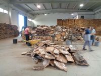 Alentejo, Korkfabrik Corticarte Arazuja