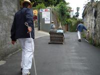 DSC07907-Korbschlittenfahrt Monte