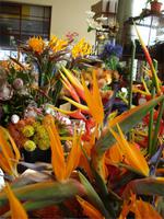 DSC07766-Markthalle Funchal