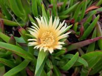 Singlereise Portugal - Cabo da Roca