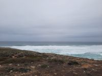 Singlereise Portugal - an der wilden Atlantikküste