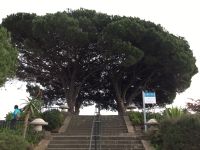 Aussichtsplattform mit Blick über Funchal - begehrt nicht nur zu Silvster….