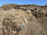 Grün suchen wir hier vergebens.