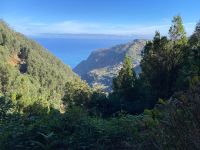 Blick auf den Terrassenanbau