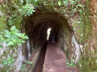 Mancher Weg entlang der Levada führt durch den Tunnel.