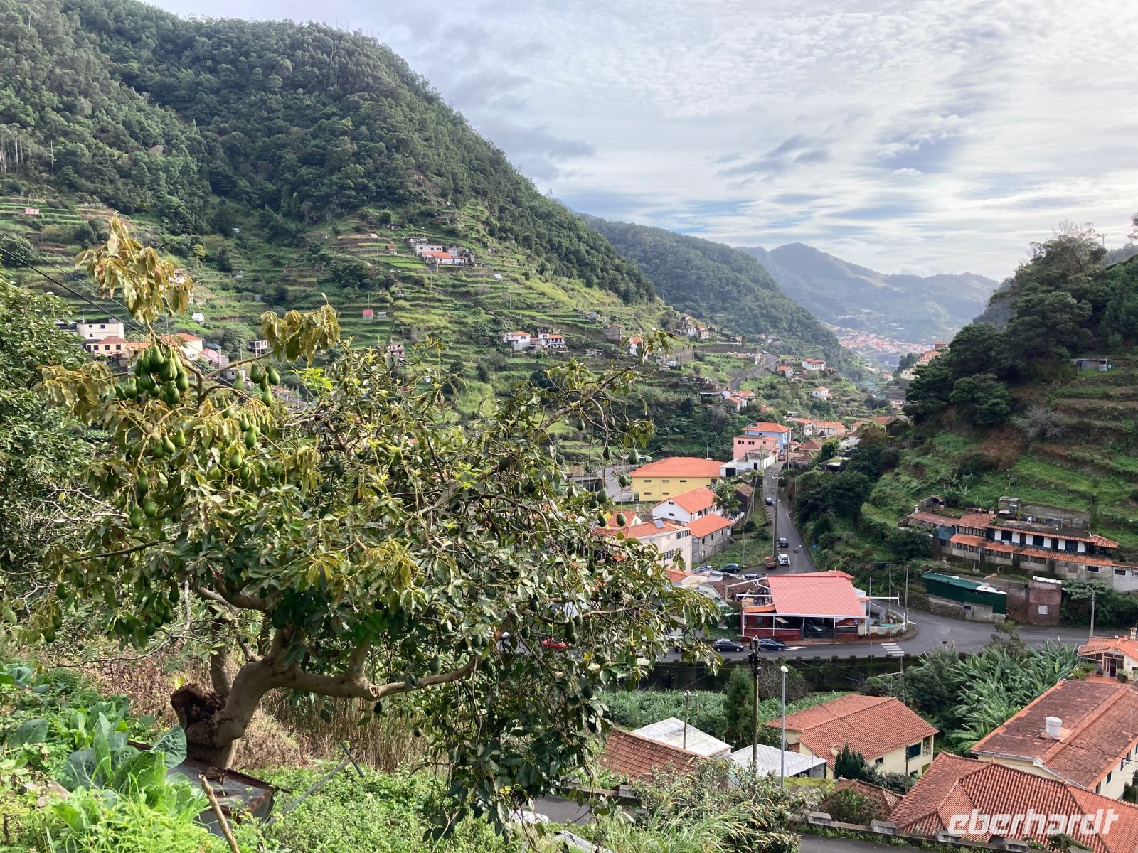 Terrassenfelder so weit das Auge reicht….