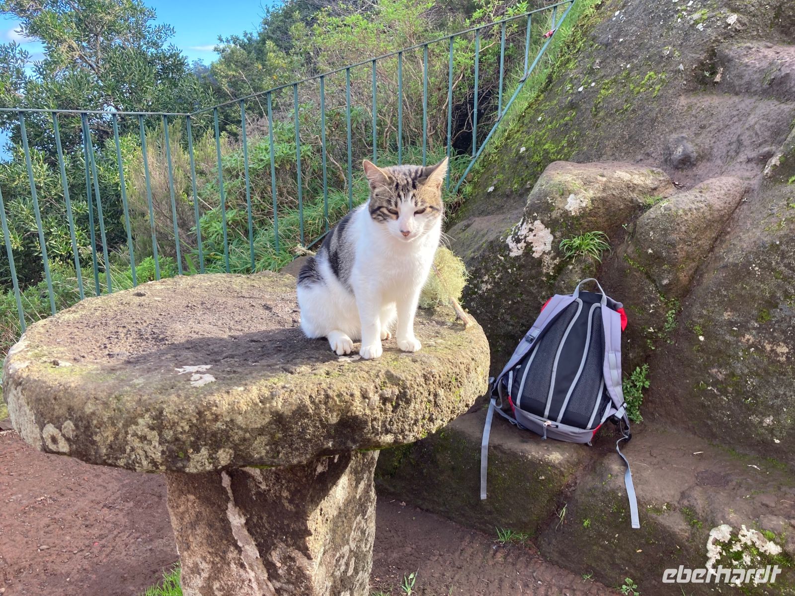 Freundliche Begleitung 