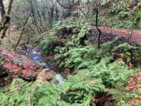 einer der vielen Bachläufe 