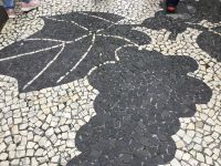 Wein bestimmt Madeira