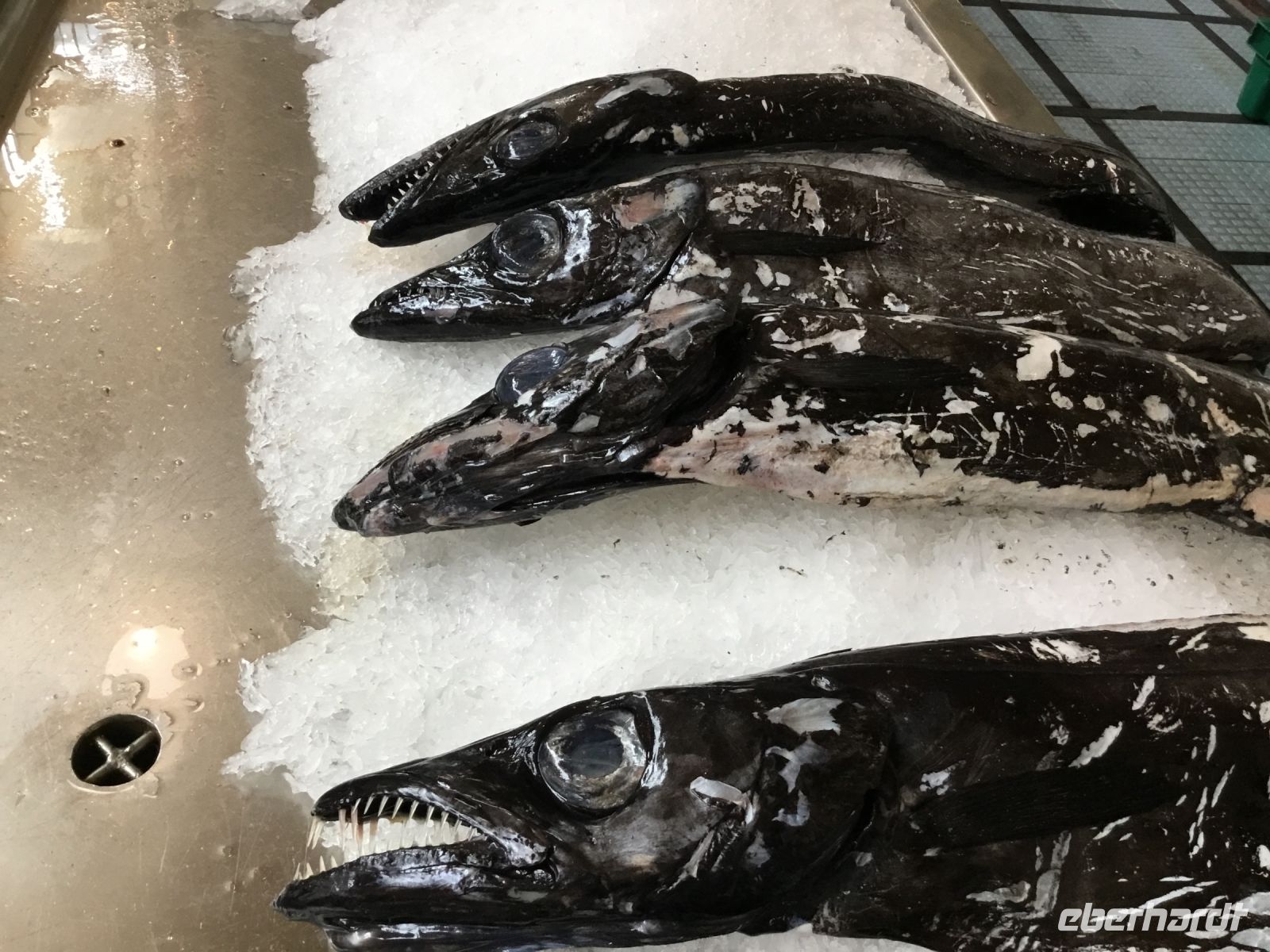 Nicht schön, aber schmackhaft