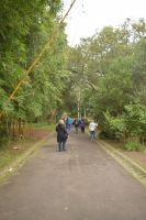 Im Park von Antonio Borges