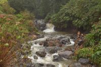 Park von Ribeira dos Caldeiros