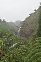 Park von Ribeira dos Caldeiros