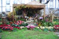 16 Krippe in Funchal