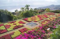 28 bekanntes Mosaik im Botanischen Garten