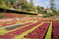 30 Mosaik Botanischer Garten 