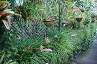 58 Orchideen in der Quinta da Boa Vista.