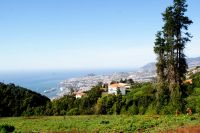 62 Blick auf Funchal