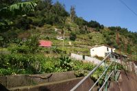 77 Levadawanderung am Neujahrstag