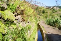 78 Levadawanderung am Neujahrstag