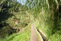 83 Levadawanderung am Neujahrstag