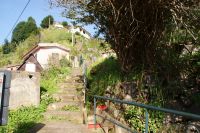 85 Levadawanderung am Neujahrstag