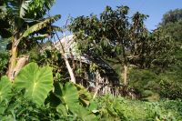 91 Levadawanderung am Neujahrstag