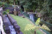 100 Forellenzucht Ribeiro Frio