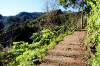 110 Wanderung Balcoes