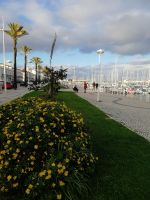 mit Blumen geschmückte 