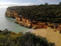 üppige Hartlaubgewächse passen sich dem gemäßigt maritimen Seeklima an.jpg
