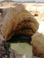 einige Dolinen kommen uns über den Weg.jpg