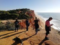 wir lassen die Blicke auf die Steilküste schweifen.jpg