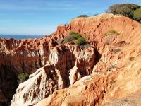 Grüne Tupfer der Pinien im Landschaftsbild.jpg