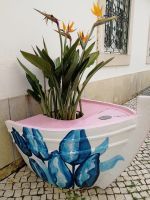 mit Strelizien bestückte Holzboote in Olhao.jpg