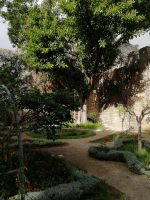 Taviras Schlossgarten aus dem 12. Jhd..jpg