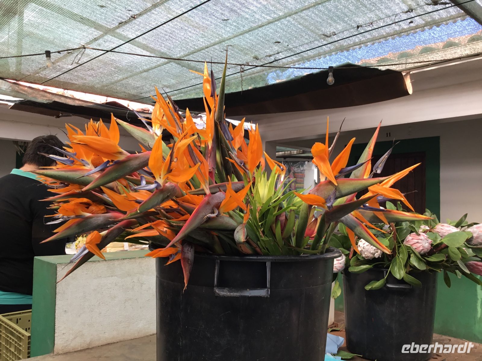 Blumenstrauß für zu Hause….